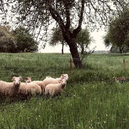 Hébergement de vacances Straeumli Eigeltingen
