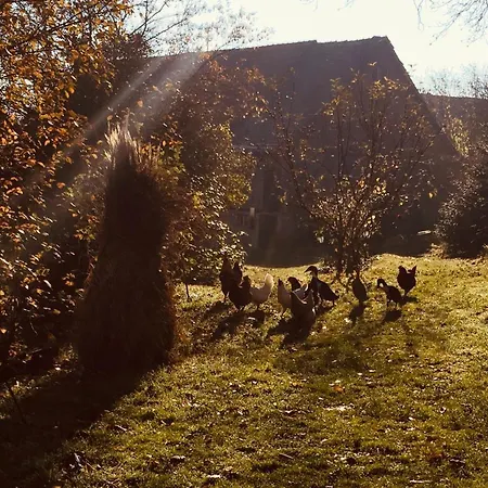 Straeumli * Eigeltingen